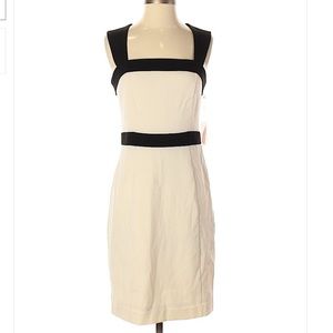 Forever 21 Contemporary Ivory and Black Dress